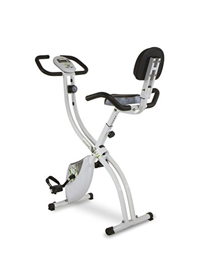 Tecnovita by BH Back FIT YF91 - Bicicleta estática Plegable...*