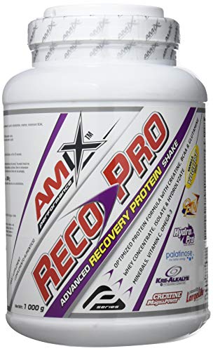 AMIX - Recuperador Muscular - Reco Pro Advanced Protein Shake en...