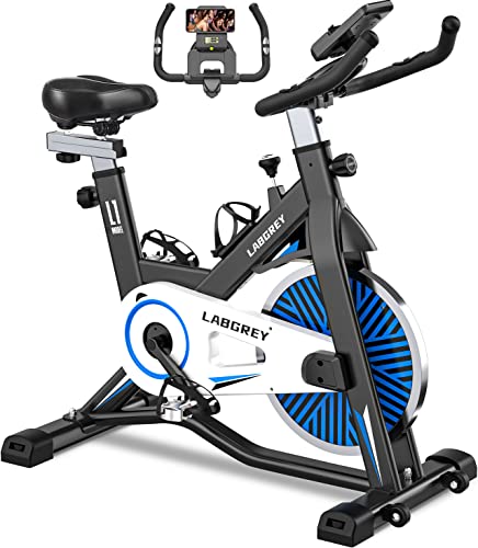 LABGREY Bicicleta Indoor Ejercicio Gym Casa Fitness Bikes Volante...