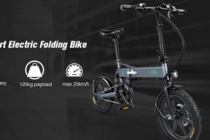 bici FIIDO-D2