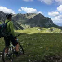 mtb rigida 29 monoplato