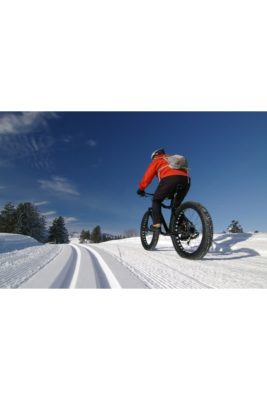 Fat Bike