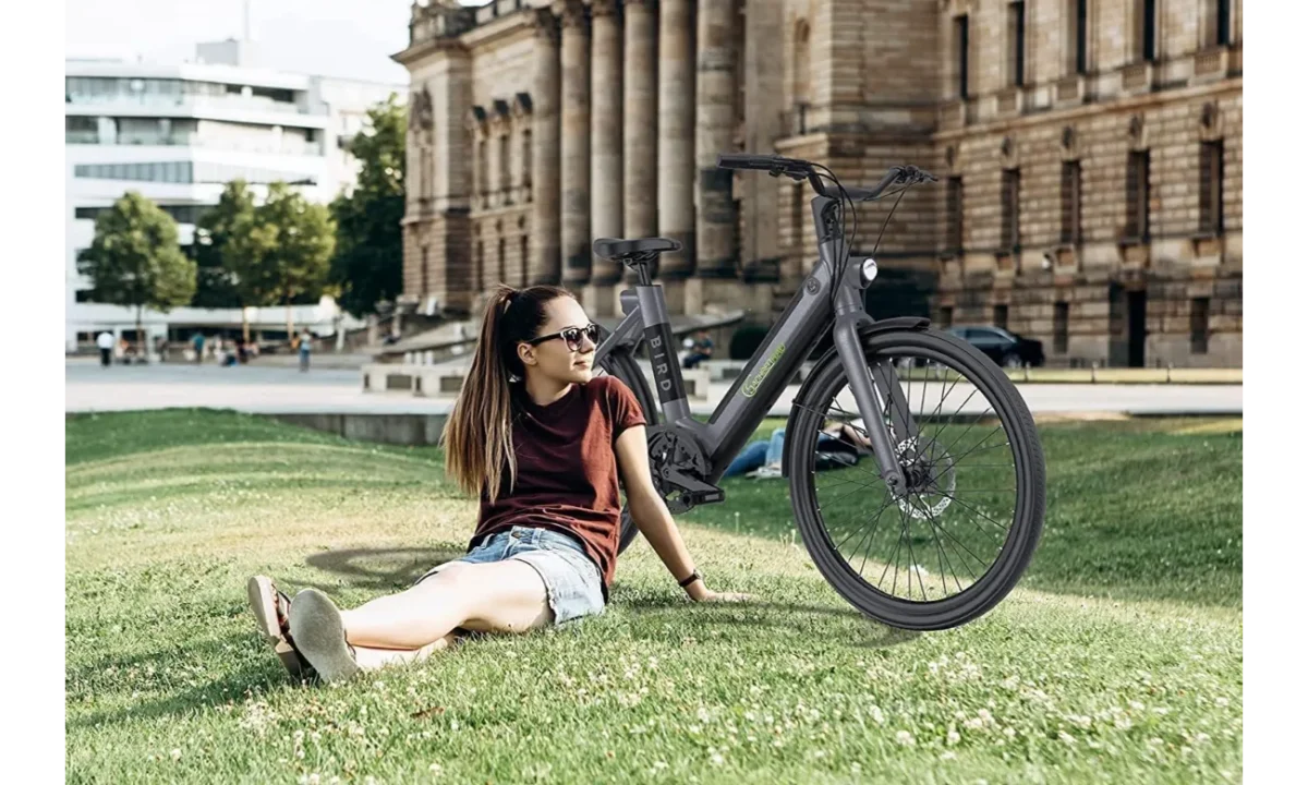 Bicicleta eléctrica