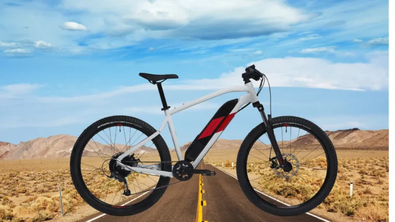 Bicicleta eléctrica MTB