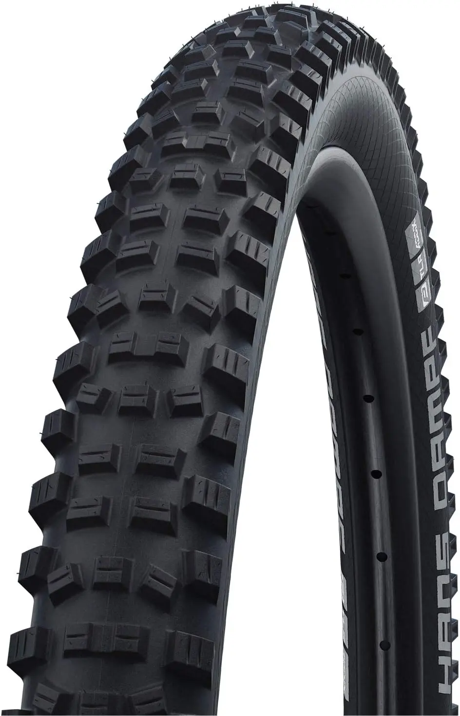 Schwalbe Hans Dampf