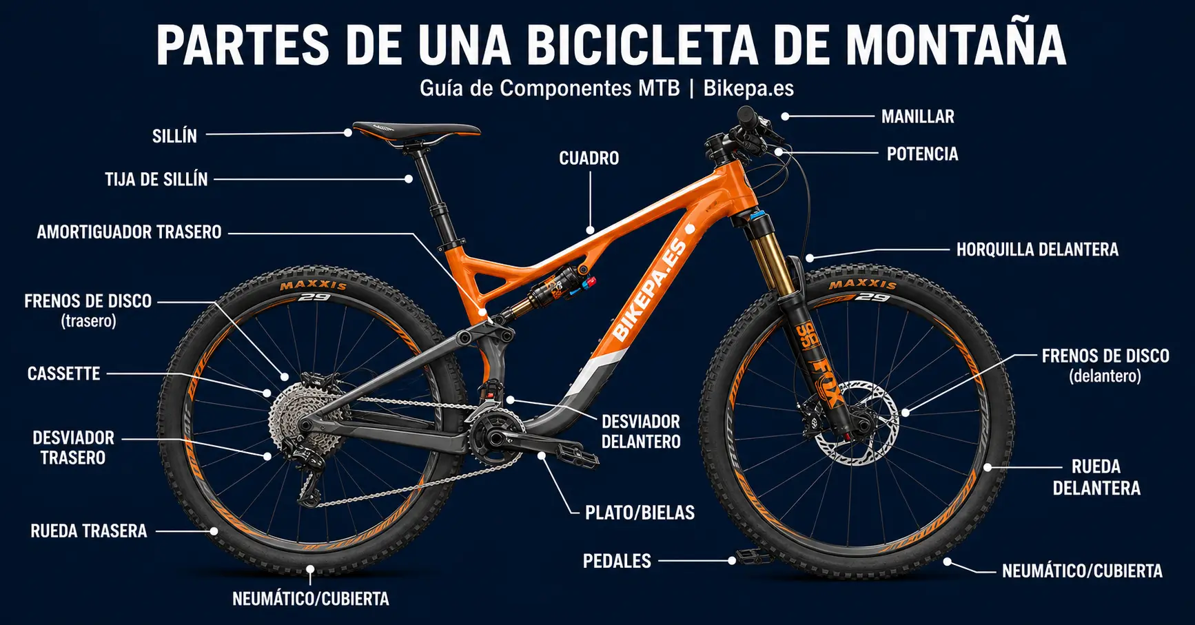 Partes de una Bicicleta de Montaña: Guía de Componentes MTB