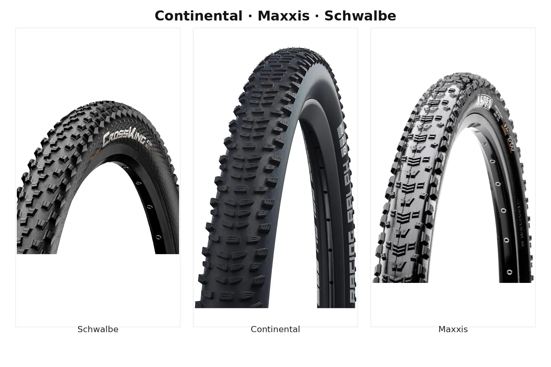 Duelo Continental vs Maxxis: Cubierta Continental Cross King II Black Chili frente a Maxxis Aspen EXO ligera
