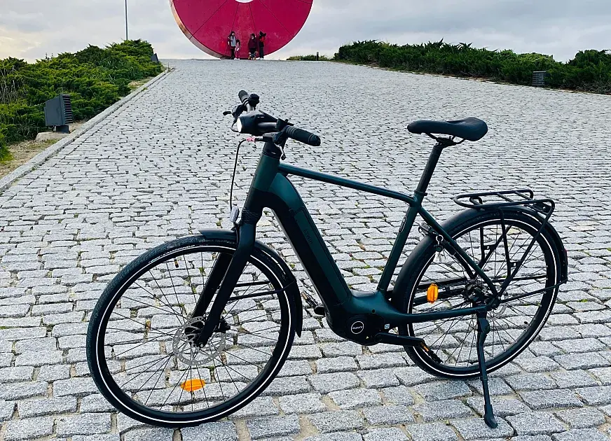F.lli Schiano E-Ride bicicleta eléctrica urbana