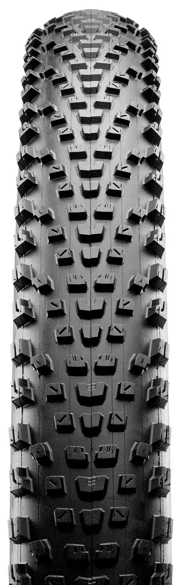 Maxxis Rekon Race EXO TR 3