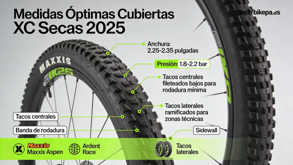 Mejores Cubiertas de MTB XC Cross Country para Terreno Seco 2025